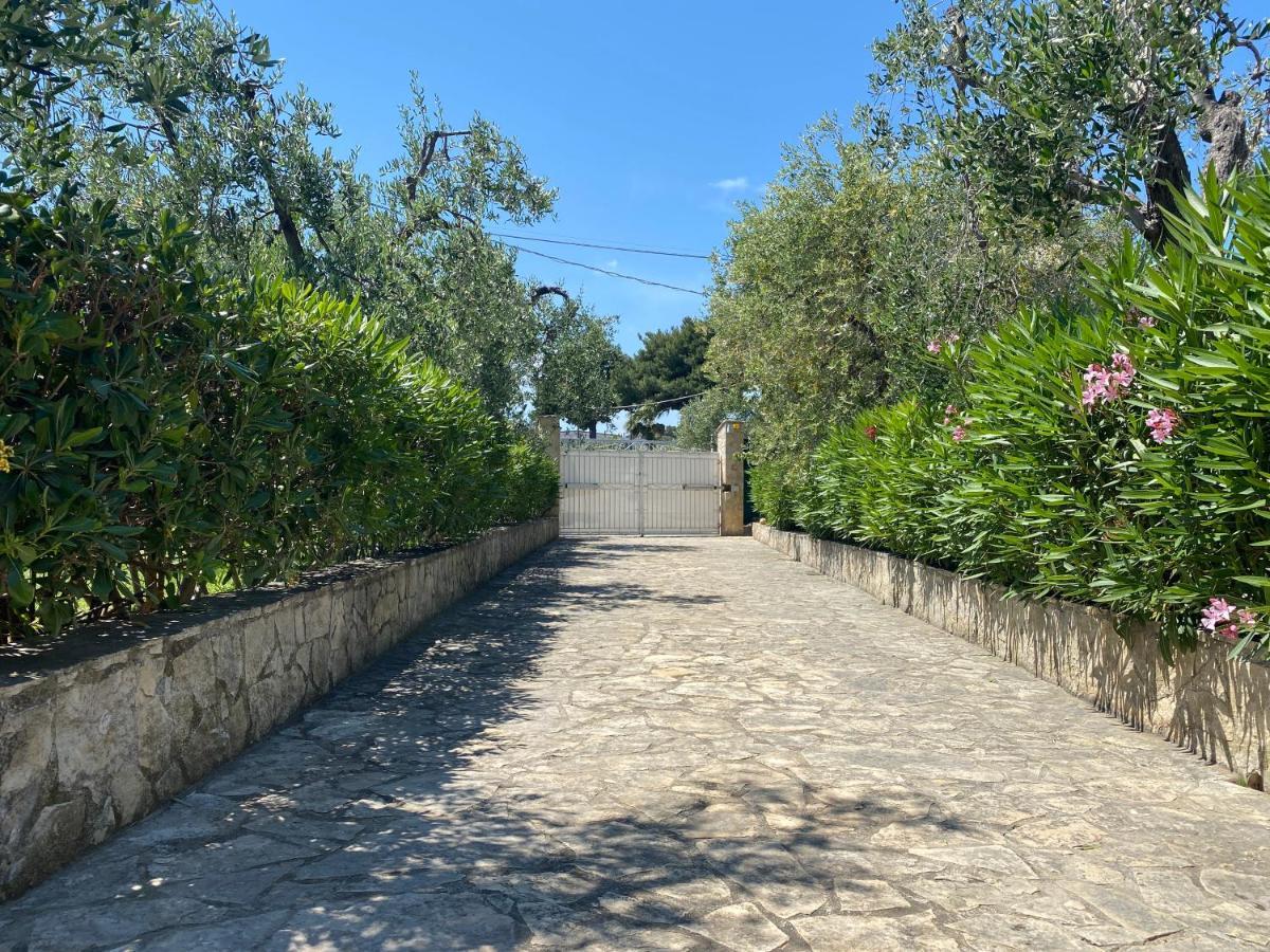 Villa Vittoria Vieste Exterior photo